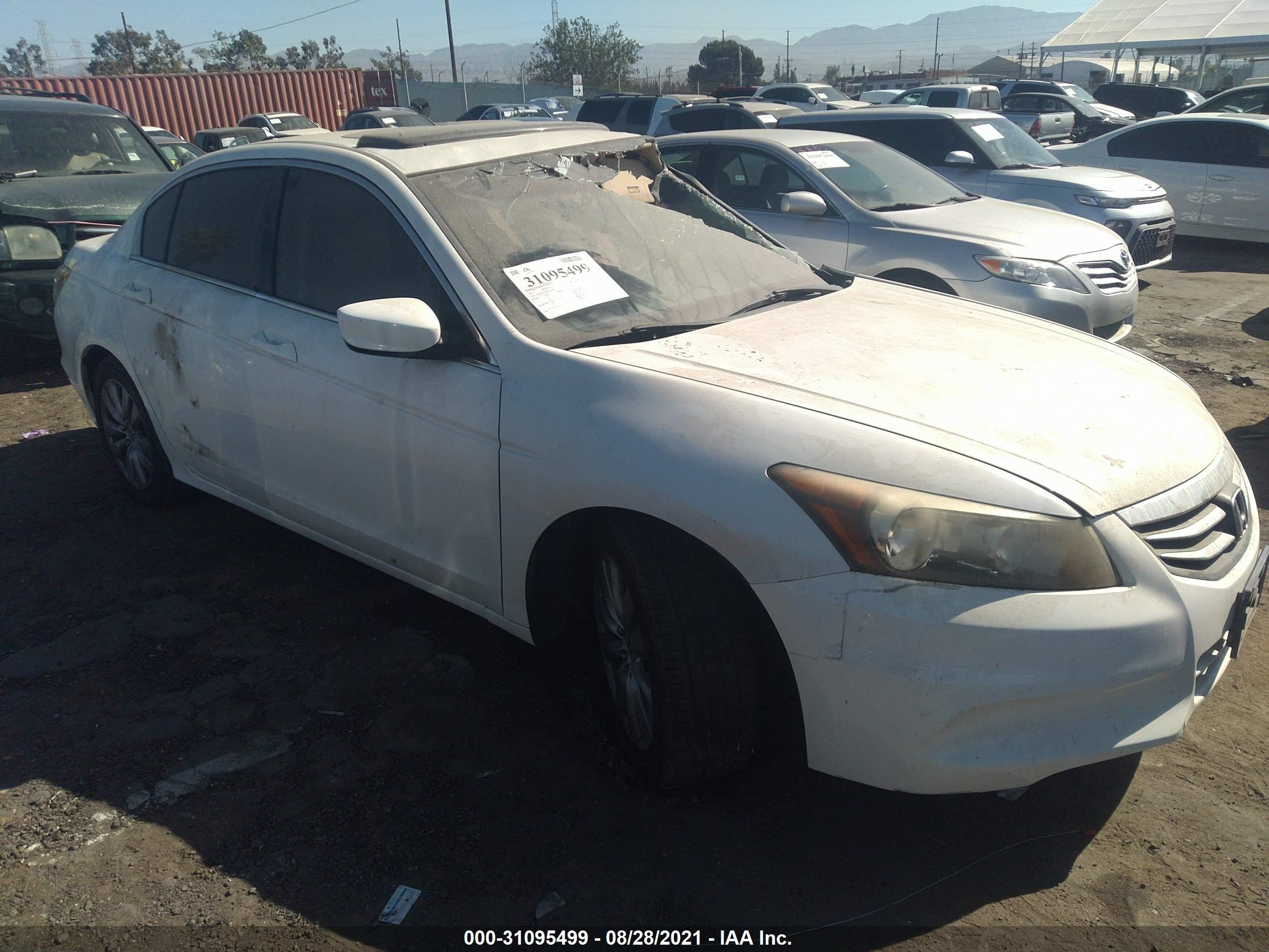 HONDA ACCORD 2011 1hgcp2f87ba058395