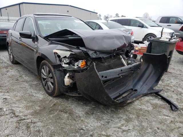 HONDA ACCORD EXL 2011 1hgcp2f87ba071440