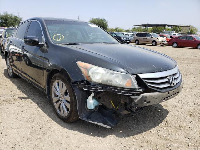 HONDA ACCORD EXL 2011 1hgcp2f87ba096175