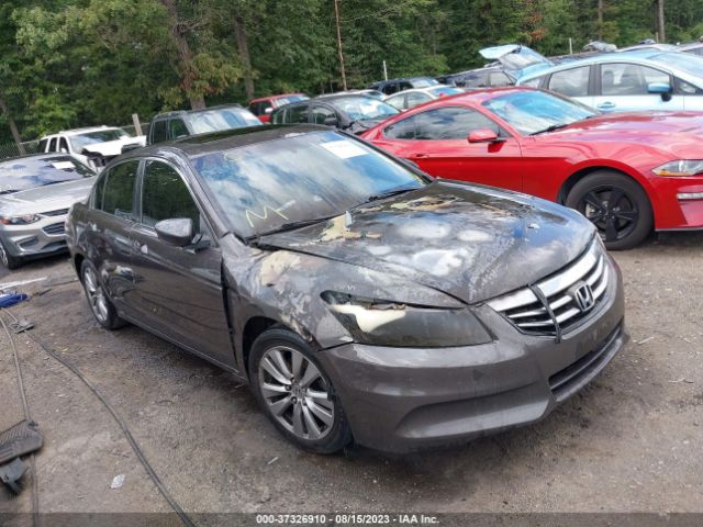 HONDA ACCORD 2011 1hgcp2f87ba102623