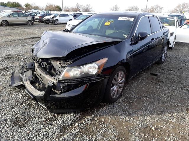 HONDA ACCORD EXL 2011 1hgcp2f87ba124413