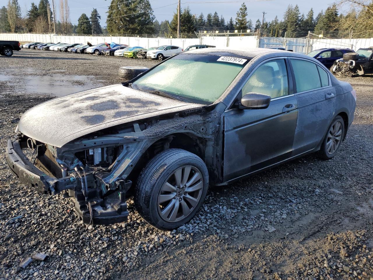 HONDA ACCORD 2012 1hgcp2f87ca101943