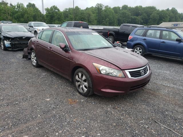 HONDA ACCORD EXL 2010 1hgcp2f88aa010578