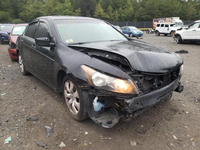 HONDA ACCORD EXL 2010 1hgcp2f88aa055939