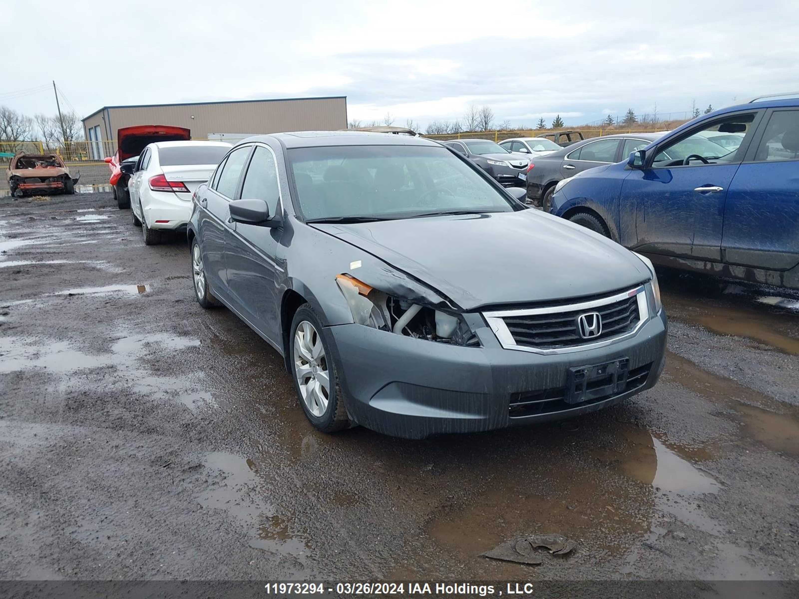 HONDA ACCORD 2010 1hgcp2f88aa804027