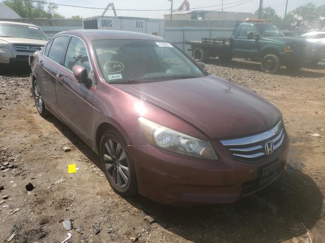 HONDA ACCORD EXL 2011 1hgcp2f88ba013711