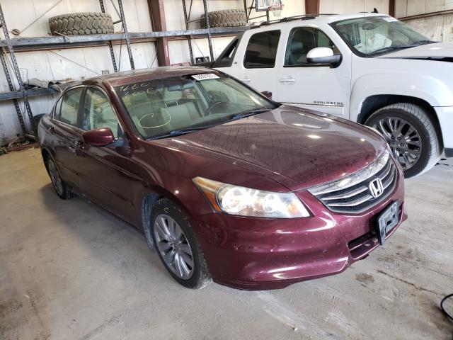 HONDA ACCORD EXL 2011 1hgcp2f88ba061144