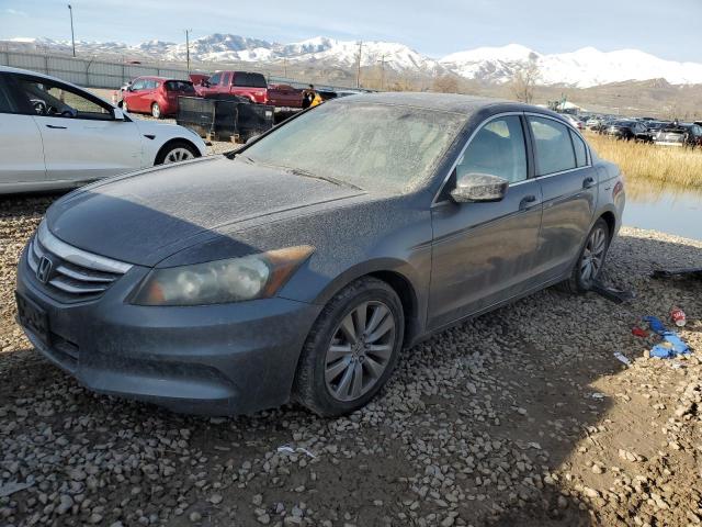 HONDA ACCORD 2011 1hgcp2f88ba101206