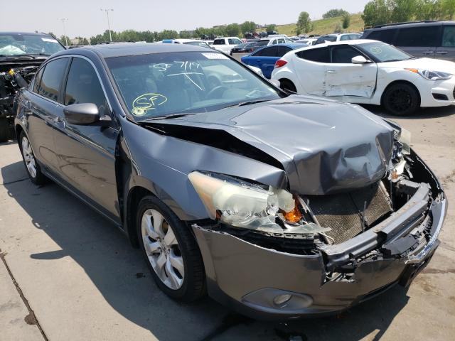 HONDA ACCORD EXL 2010 1hgcp2f89aa030788