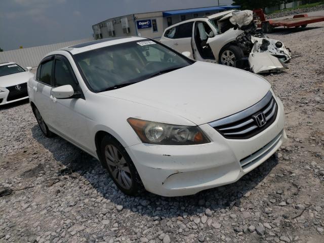 HONDA ACCORD EXL 2011 1hgcp2f89ba003804