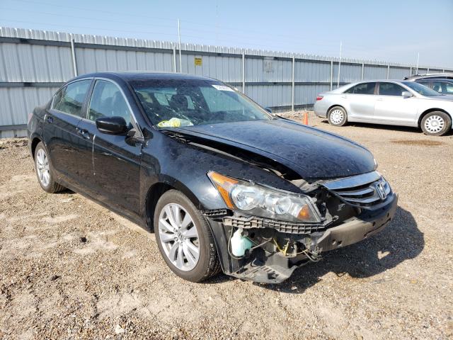 HONDA ACCORD EXL 2011 1hgcp2f89ba038021