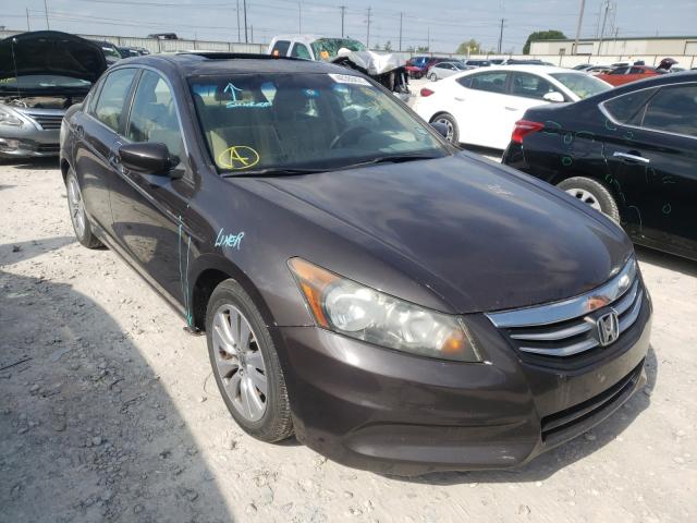 HONDA ACCORD EXL 2011 1hgcp2f89ba048113