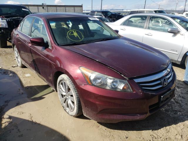 HONDA ACCORD EXL 2011 1hgcp2f89ba114983