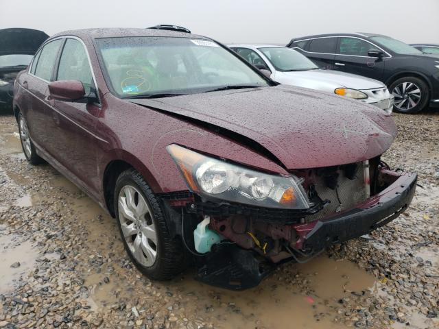 HONDA ACCORD EXL 2010 1hgcp2f8xaa026944