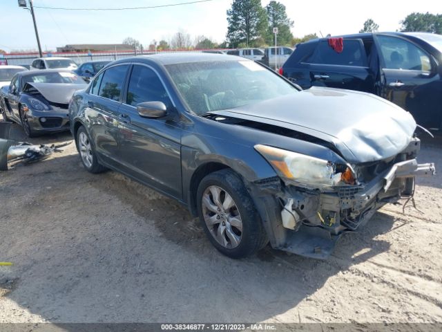 HONDA ACCORD 2010 1hgcp2f8xaa049446