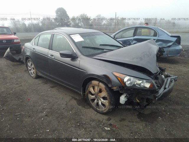 HONDA ACCORD SDN 2010 1hgcp2f8xaa077019