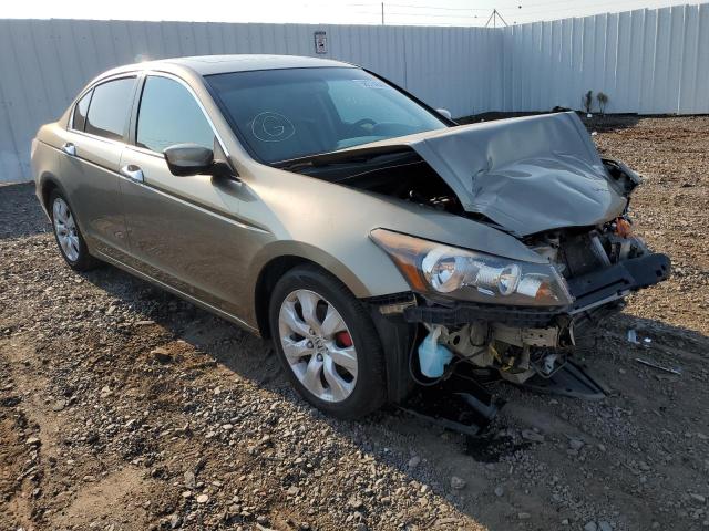 HONDA ACCORD EXL 2010 1hgcp2f8xaa079983