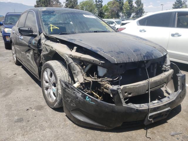 HONDA ACCORD EXL 2010 1hgcp2f8xaa093432