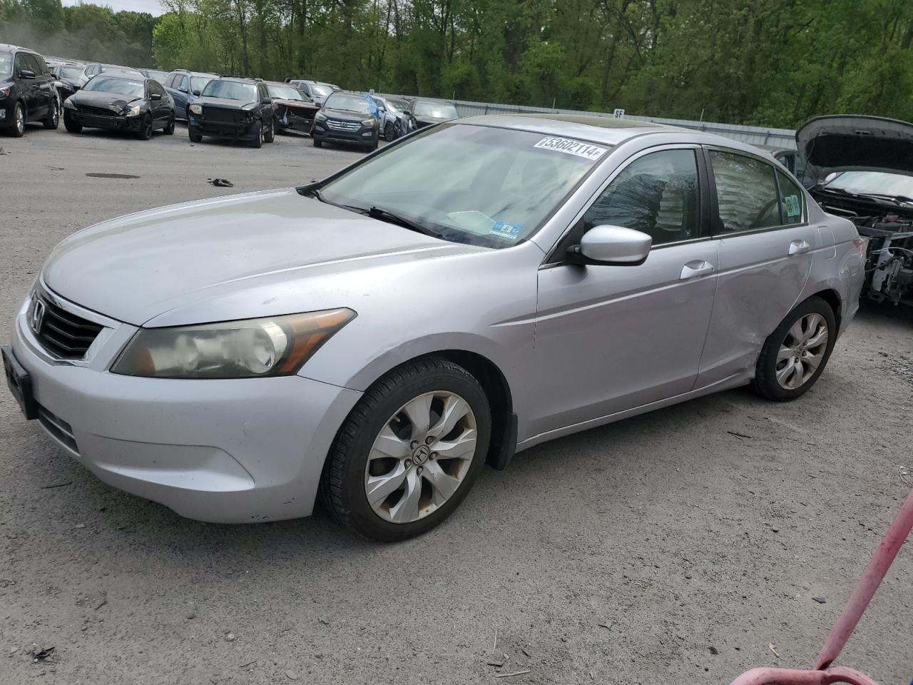 HONDA ACCORD 2010 1hgcp2f8xaa173507