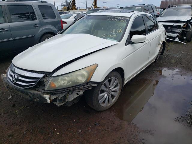 HONDA ACCORD 2011 1hgcp2f8xba046385