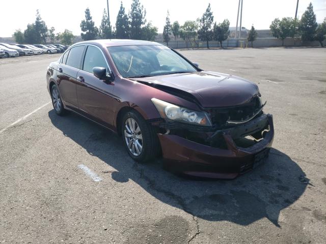 HONDA ACCORD EXL 2011 1hgcp2f8xba068807