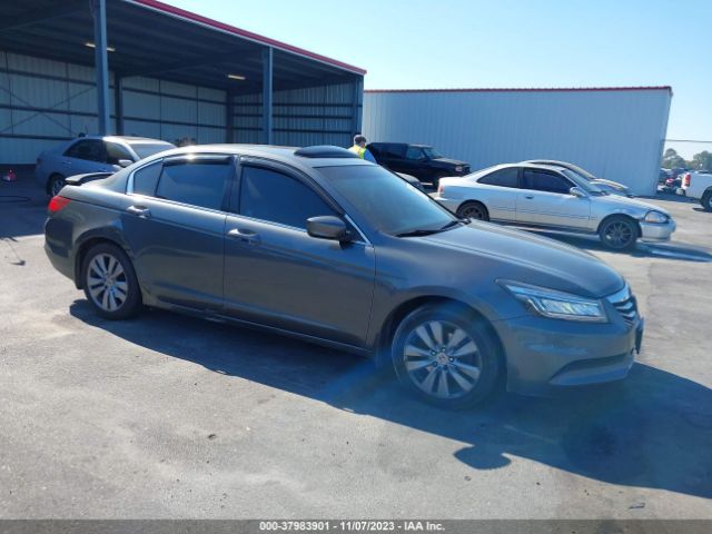 HONDA ACCORD 2011 1hgcp2f8xba079077