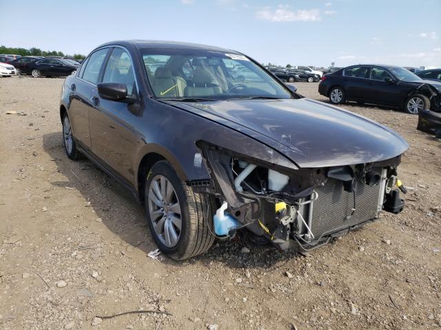 HONDA ACCORD 2011 1hgcp2f8xba105919