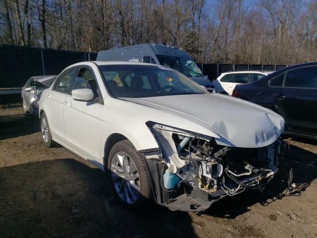 HONDA ACCORD EXL 2011 1hgcp2f8xba134000