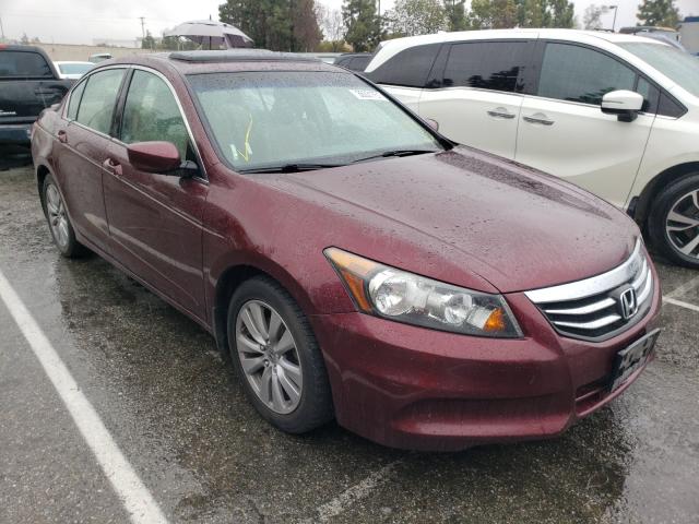 HONDA ACCORD EXL 2012 1hgcp2f8xca030205