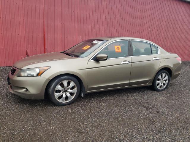 HONDA ACCORD EX 2008 1hgcp36788a802561