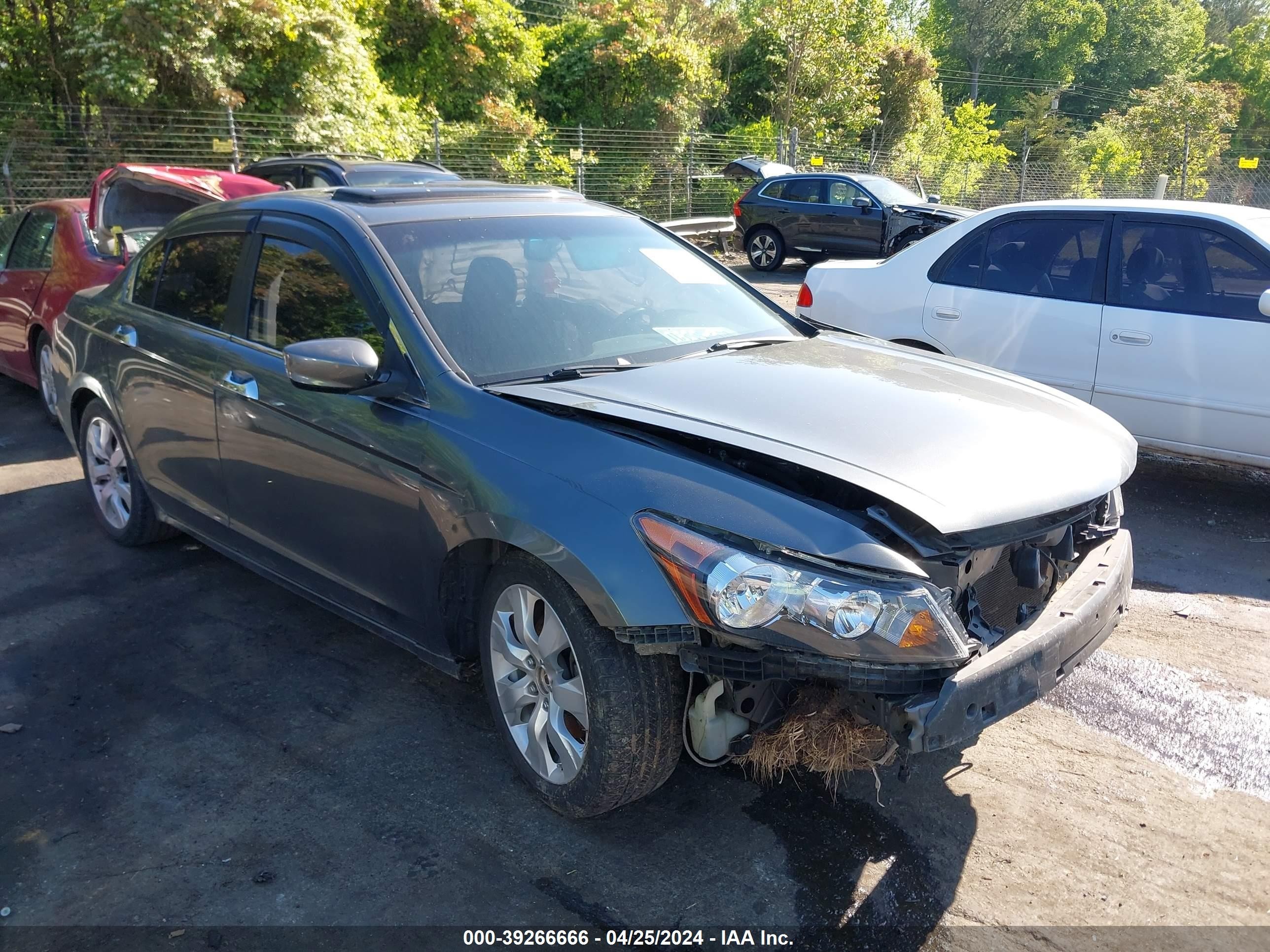 HONDA ACCORD 2008 1hgcp36808a009621