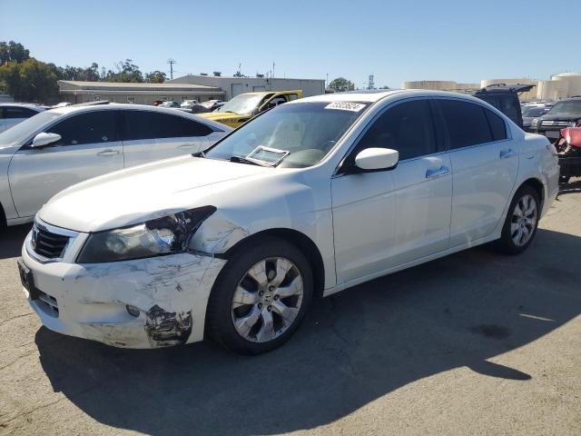 HONDA ACCORD EXL 2009 1hgcp36809a017476