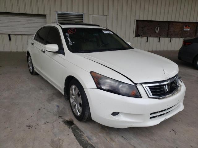 HONDA ACCORD EXL 2009 1hgcp36809a048243