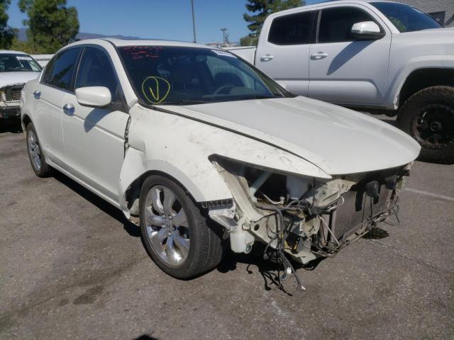 HONDA ACCORD EXL 2008 1hgcp36818a031160