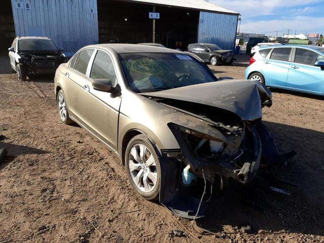 HONDA ACCORD EXL 2009 1hgcp36819a007703