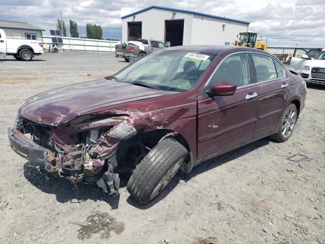 HONDA ACCORD 2008 1hgcp36828a013640