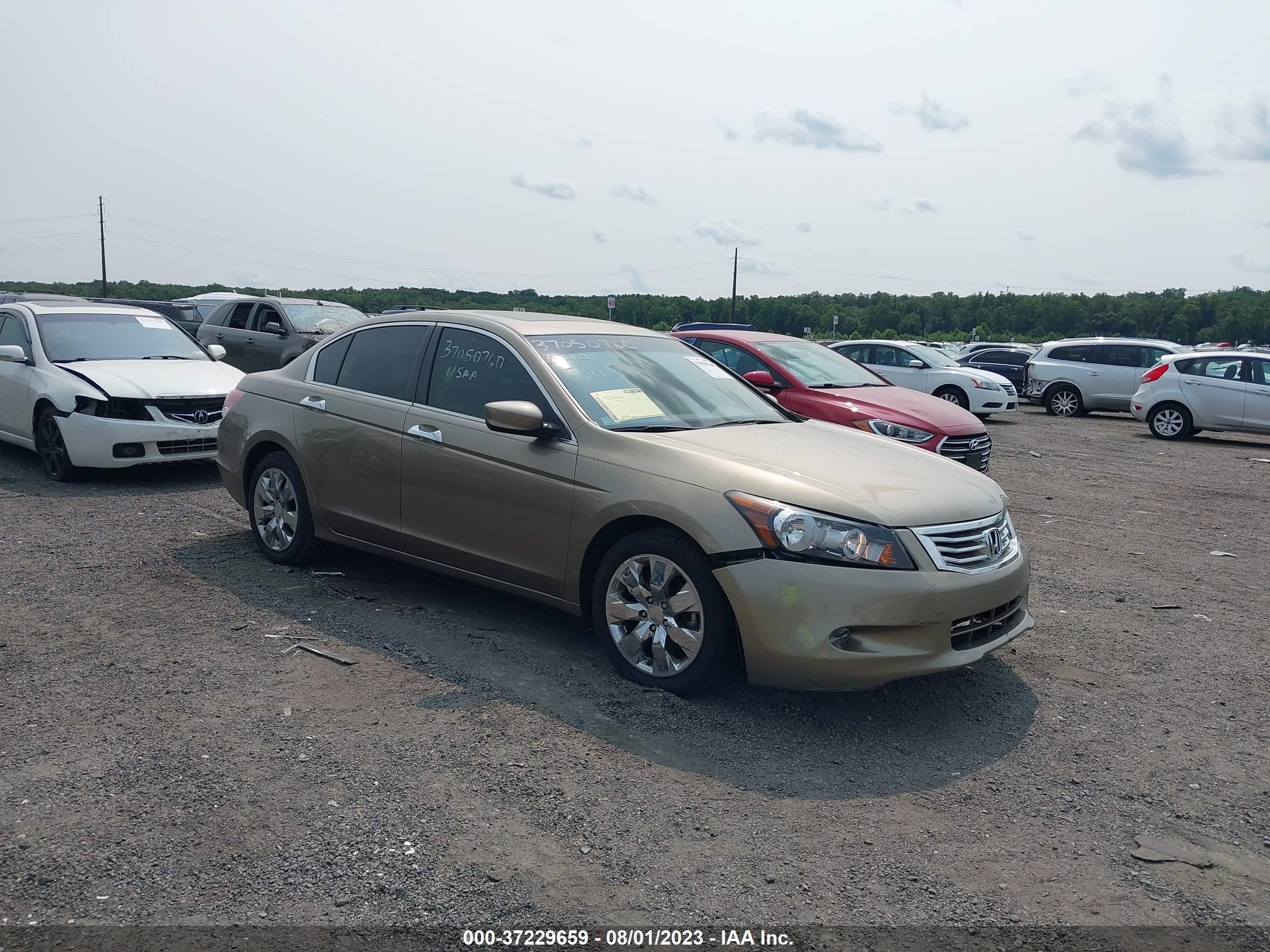 HONDA ACCORD 2008 1hgcp36828a063020