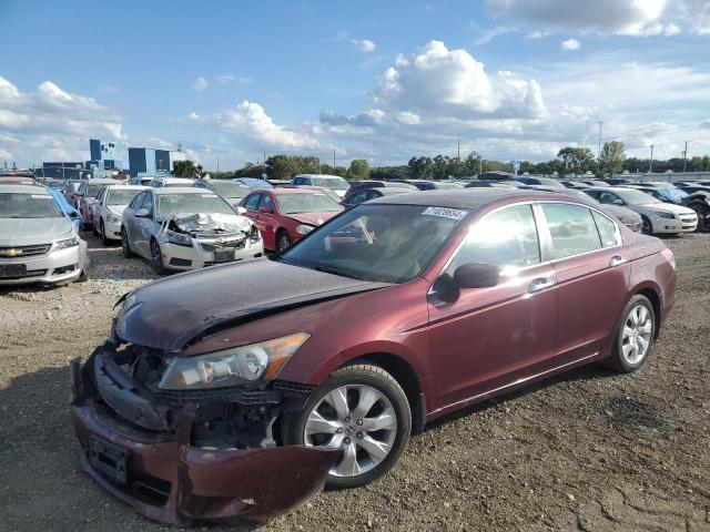 HONDA ACCORD EXL 2008 1hgcp36828a075541