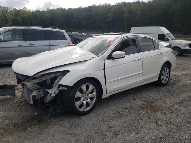 HONDA ACCORD EXL 2008 1hgcp36828a078049