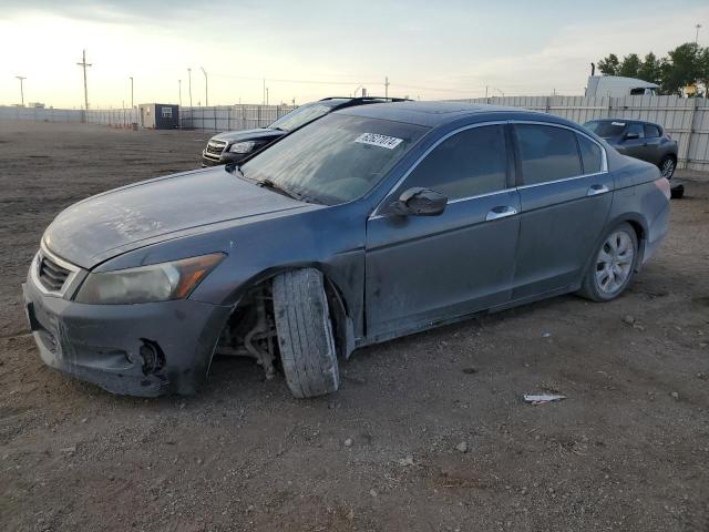 HONDA ACCORD EXL 2008 1hgcp36828a082019