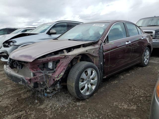 HONDA ACCORD 2008 1hgcp36828a805514