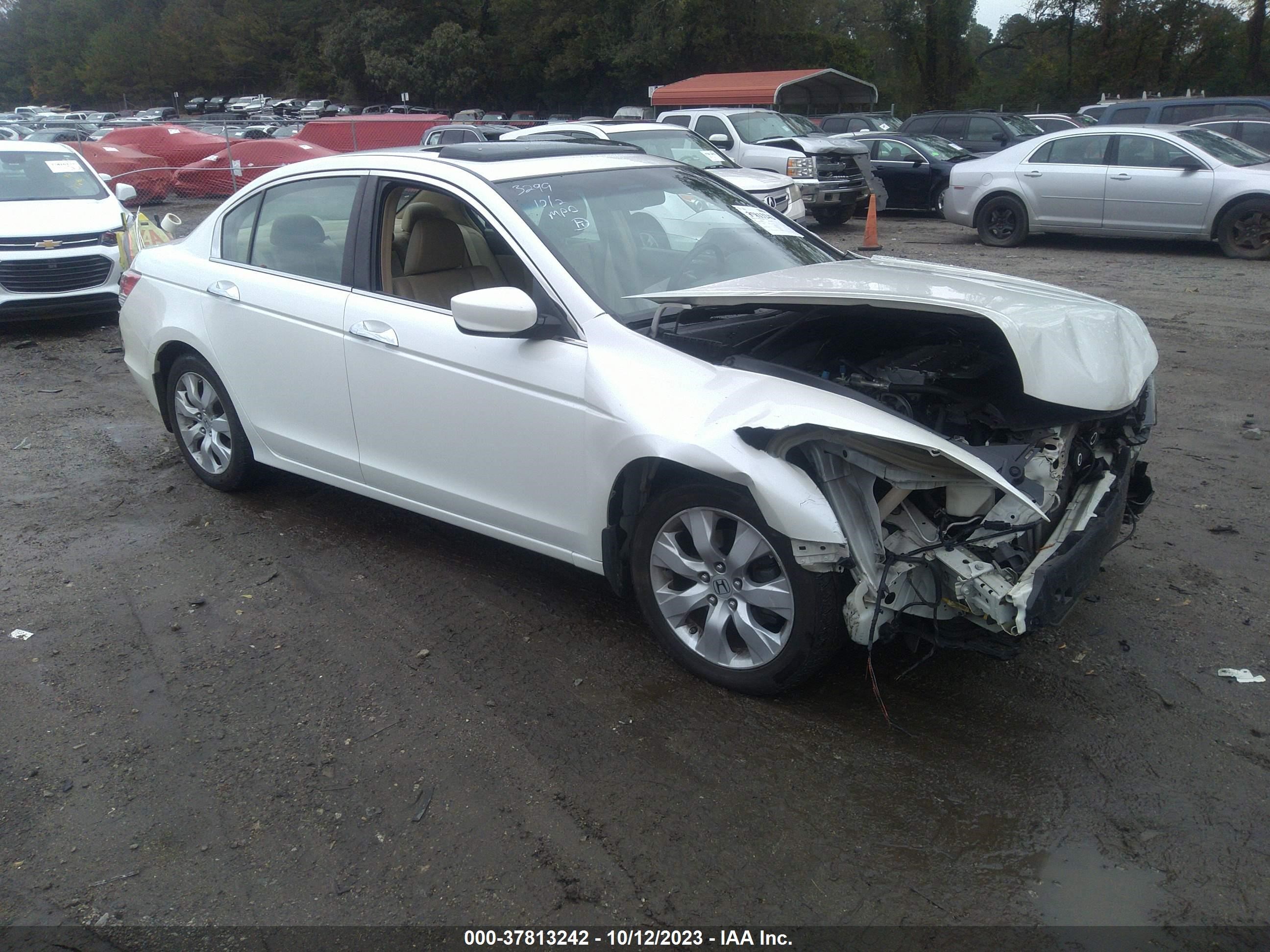 HONDA ACCORD 2009 1hgcp36829a043299