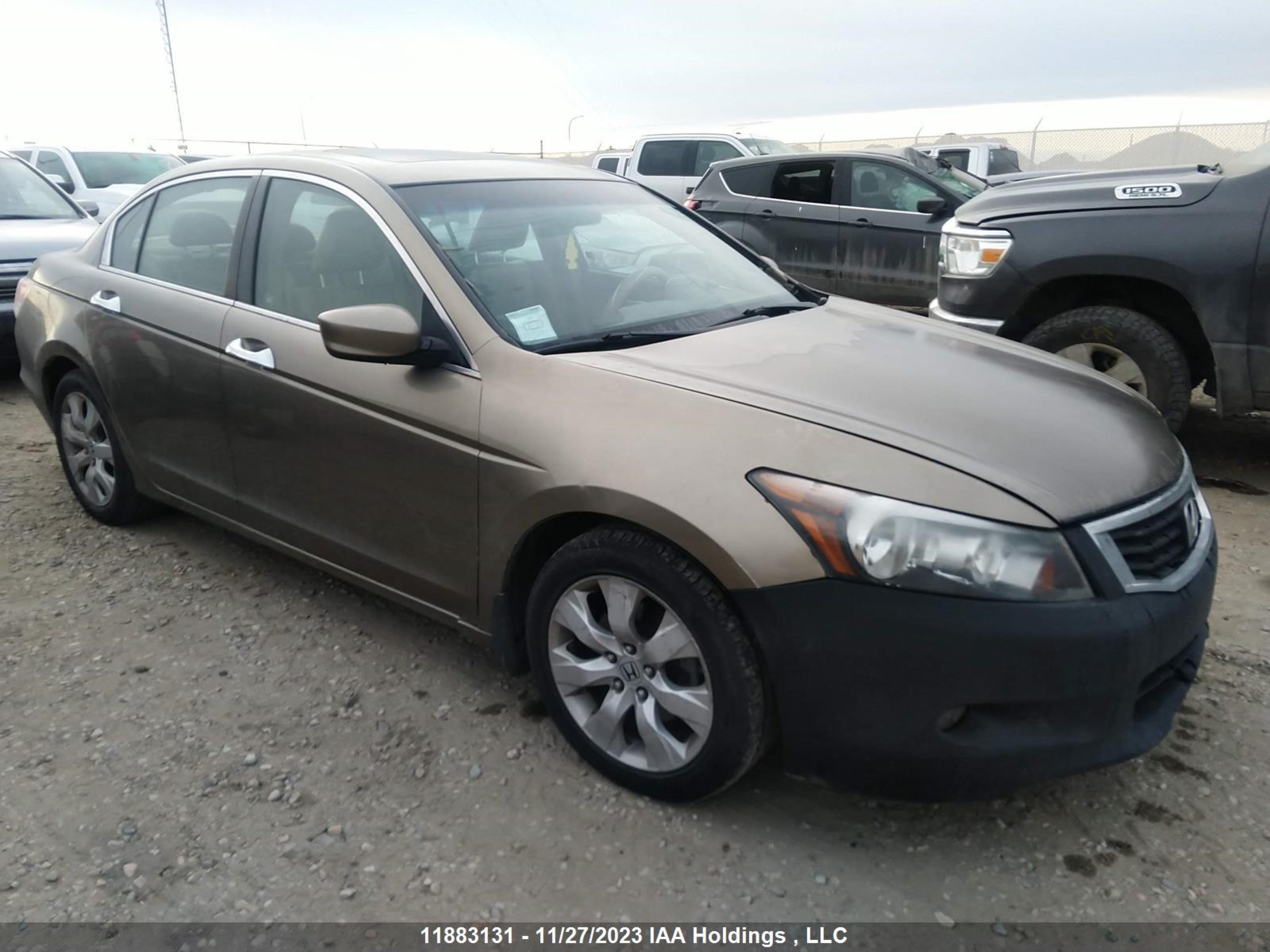 HONDA ACCORD 2008 1hgcp36838a803819