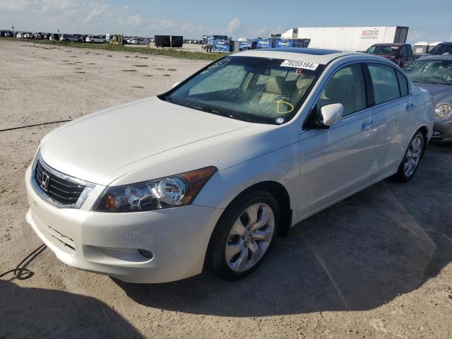 HONDA ACCORD EXL 2009 1hgcp36839a004723