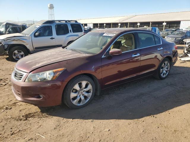 HONDA ACCORD 2009 1hgcp36839a006469