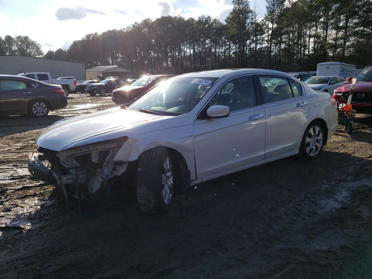 HONDA ACCORD 2009 1hgcp36839a049144