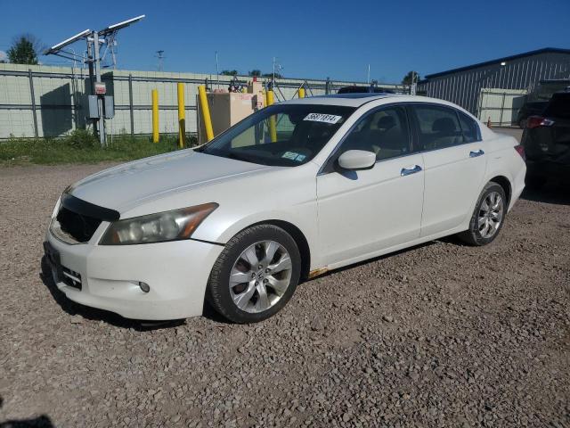 HONDA ACCORD 2008 1hgcp36848a018760