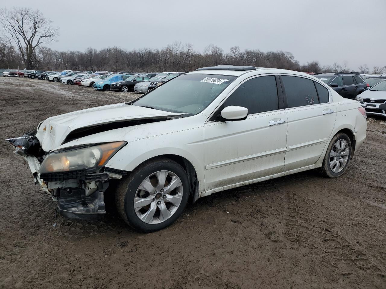 HONDA ACCORD 2008 1hgcp36848a021030