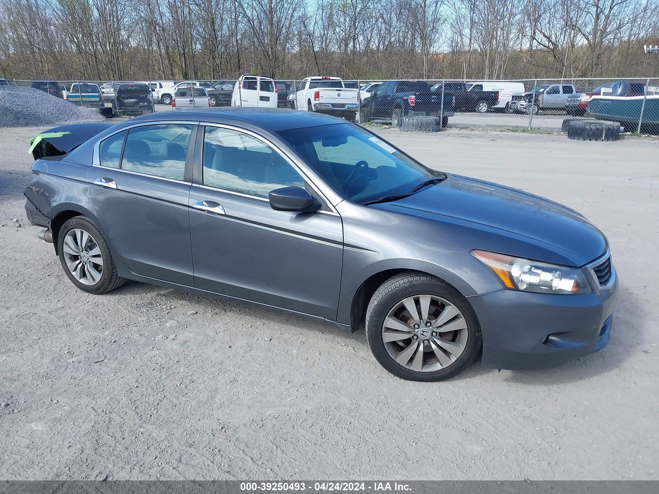 HONDA ACCORD 2009 1hgcp36849a021384