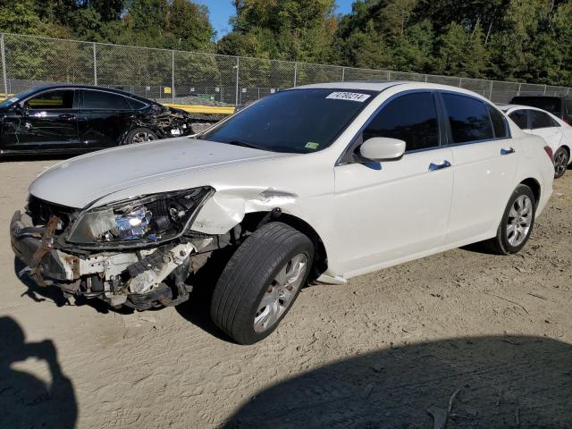 HONDA ACCORD EXL 2008 1hgcp36858a025331